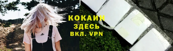 молекула духа Балахна