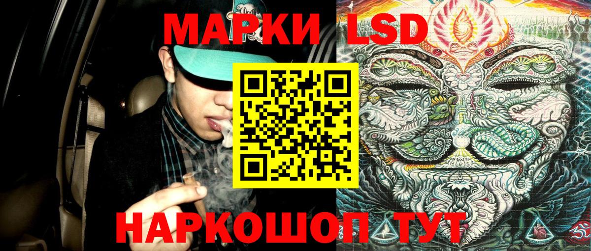 Наркотические марки 1500мкг  Вход с VPN  Наркотические марки 1500мкг  Гатчина 