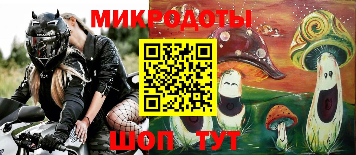Псилоцибиновые грибы Psilocybe Гатчина