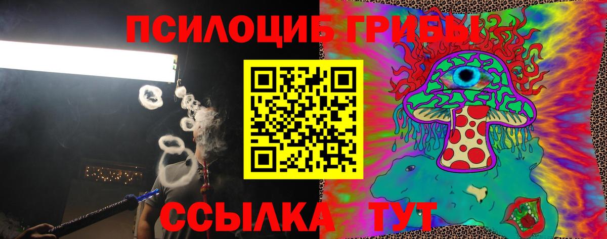 Галлюциногенные грибы Cubensis  Псилоцибиновые грибы Psilocybe  Гатчина  цены   Вход с VPN 